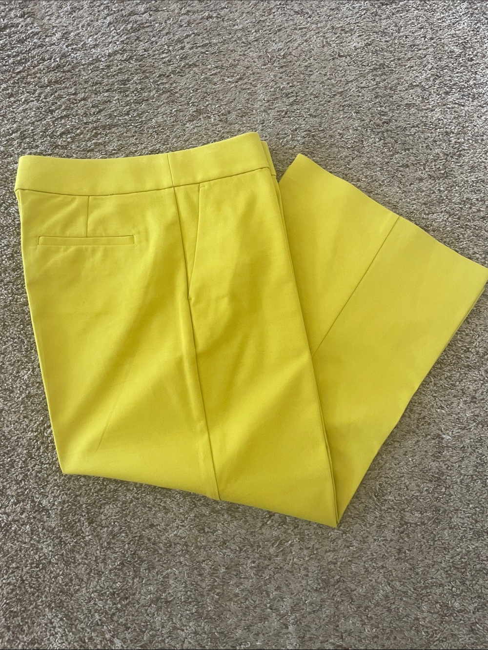 LOFT Wide-Leg Tailored Pants Size 10